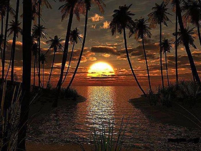 1052462_657234280989284_277015618_o - Natura si atat