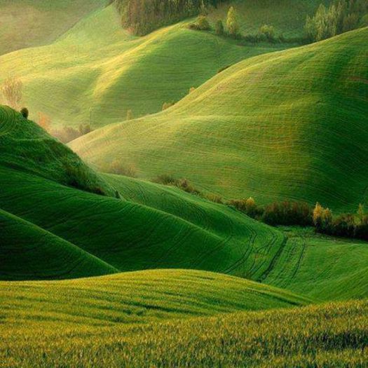 1239429_631399683589530_1953175106_n - Natura si atat