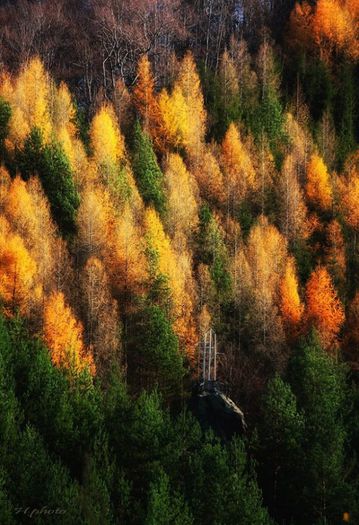 1391957_415708658554580_1658060729_n - Natura si atat