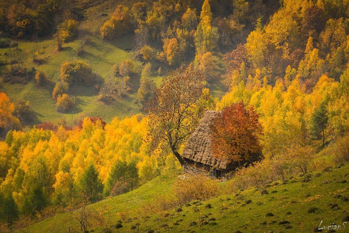 1397522_422579367867509_48272404_o - Natura si atat