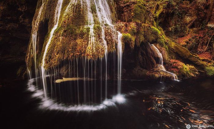 1398667_433819106743535_1232257875_o - Natura si atat