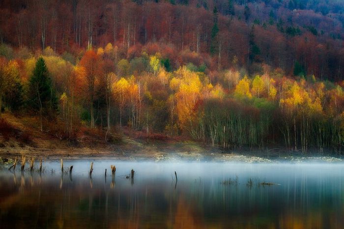 1401237_422280141230765_2034735854_o - Natura si atat