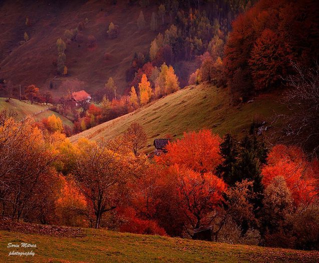 1452524_425731354218977_802651999_n - Natura si atat