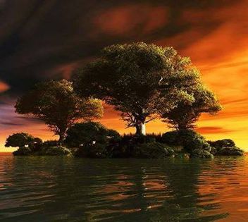 1468572_687663654588165_17792364_n - Natura si atat