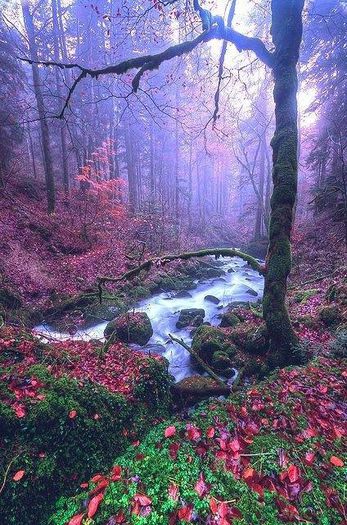 1471202_693526513999190_36030725_n - Natura si atat
