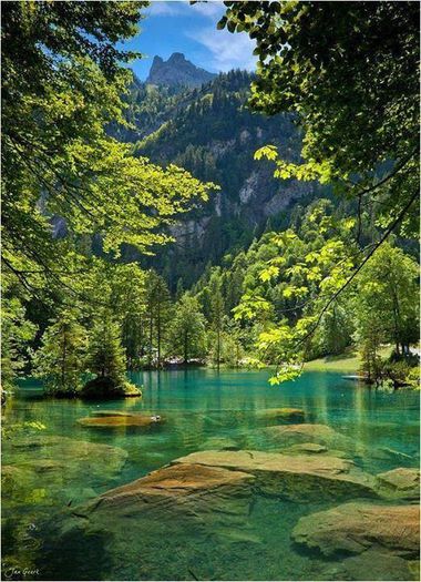 1471306_684969384857592_1870079424_n - Natura si atat