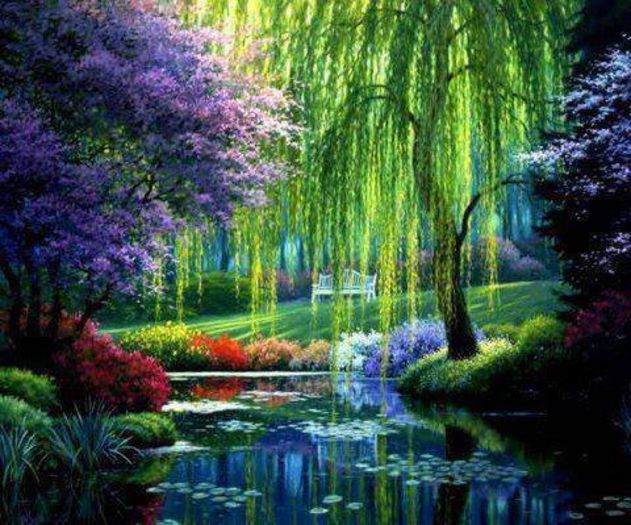 1482767_686840528003811_852339928_n - Natura si atat