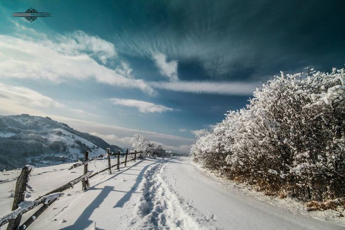 1502786_446580202134092_1779779691_o - Natura si atat