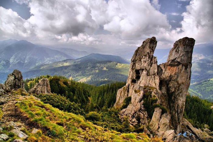 1506558_663717537026415_446397474_n - Natura si atat