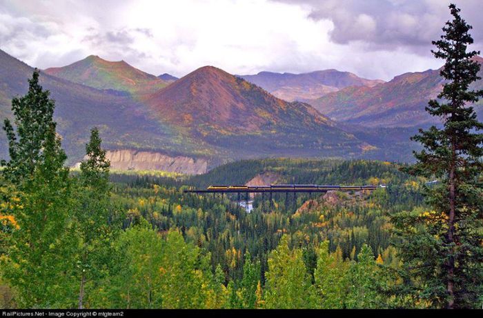 1506766_688318307856033_2035890693_n - Natura si atat