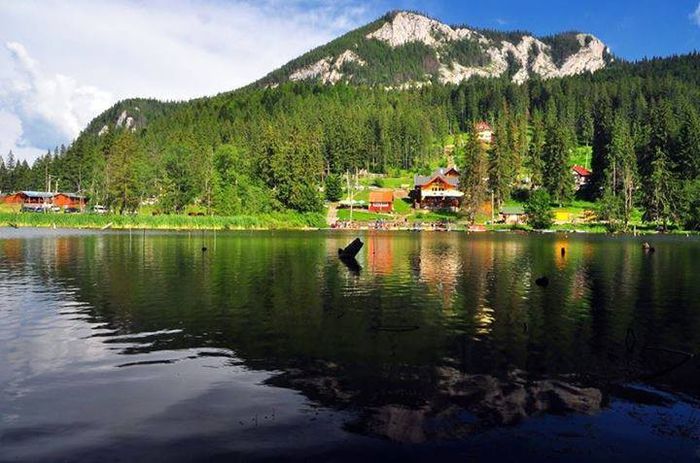 1511307_532996373466379_1767695638_n - Natura si atat