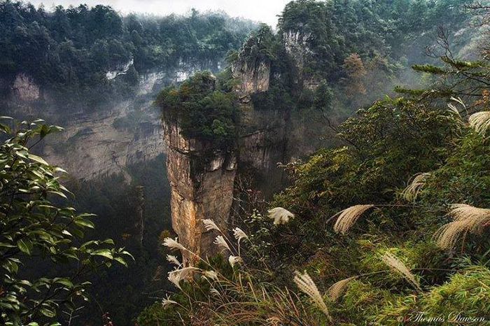 1521799_685573011463896_235040890_n - Natura si atat