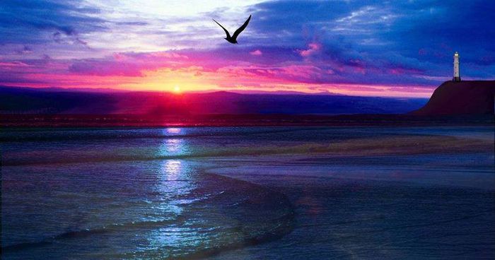 1521876_686161661405031_2051864645_n - Natura si atat