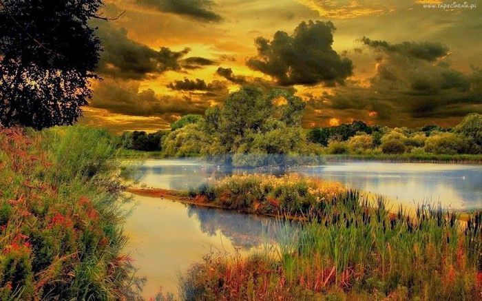 1522216_275636325921162_49936634_n - Natura si atat