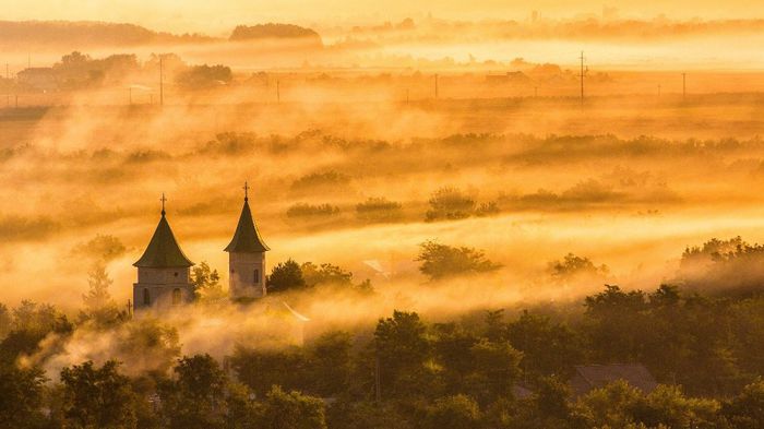 1522963_444491552342957_1685790701_o - Natura si atat