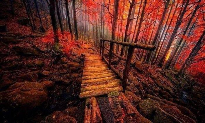 1524628_686799014674629_422940227_n - Natura si atat