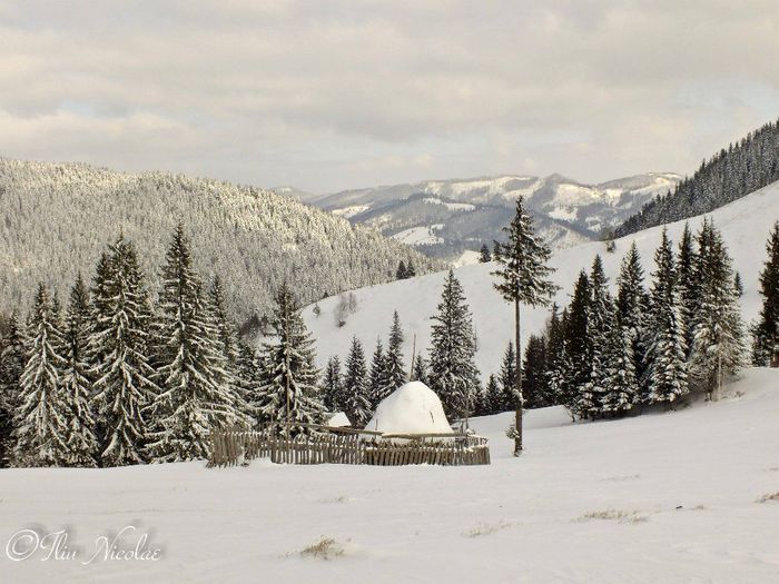 1795958_671462249585277_1223400876_o - Natura si atat