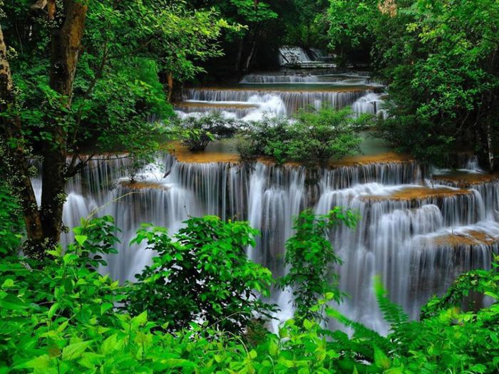 1796541_591287264281739_2000041024_n - Natura si atat