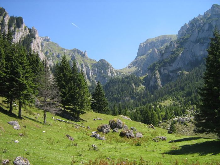 Bucegi356 - Natura si atat