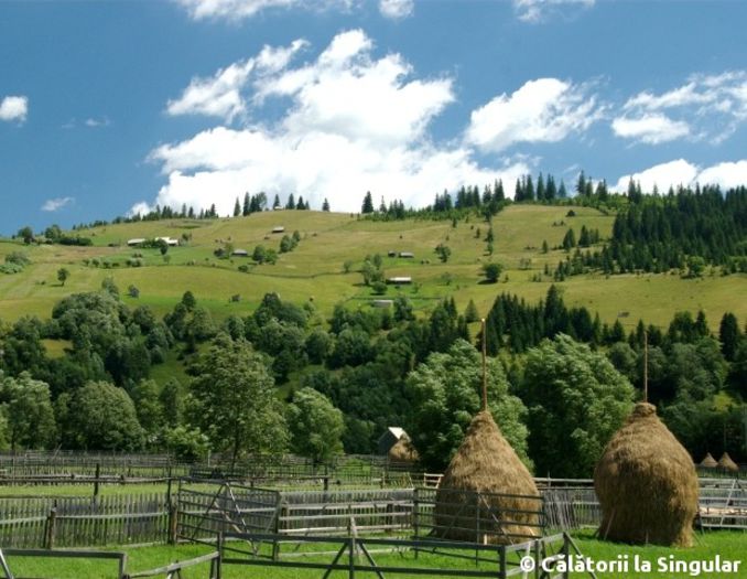 Bucovina (2) - Natura si atat