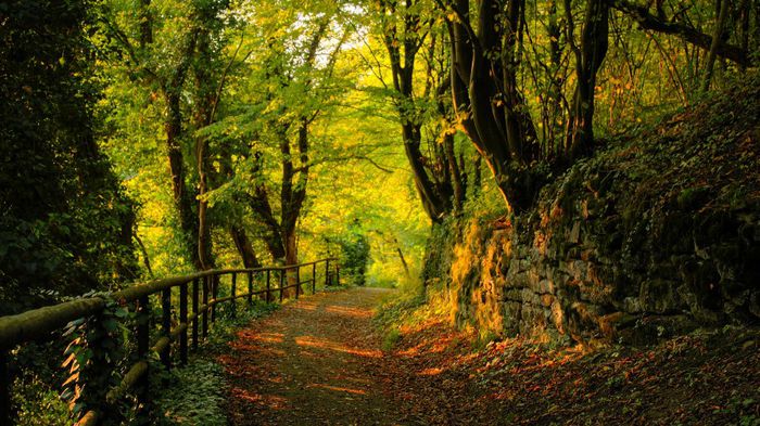 drumul-din-munti - Natura si atat