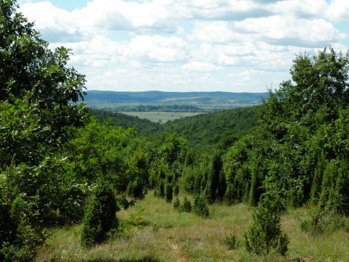 fotosentimente_12_natura vara - Natura si atat