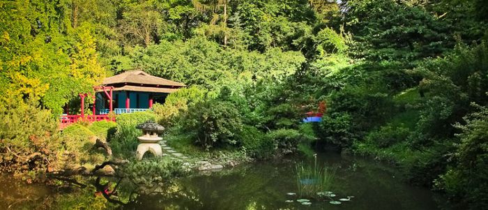 gradina-botanica-alexandru-borza-din-cluj - Natura si atat