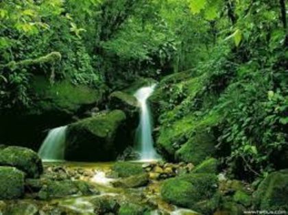 images (1) - Natura si atat
