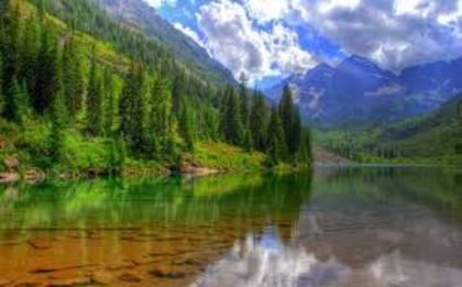 imagesCAHMW5LW - Natura si atat