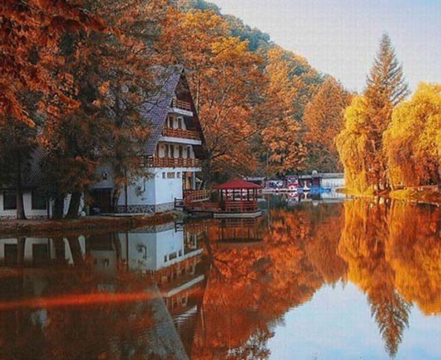 large_img_122 - Natura si atat