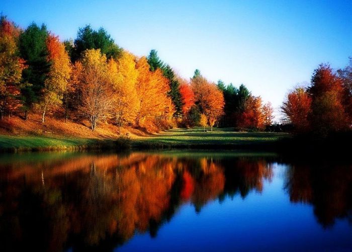 nature-backgrounds - Natura si atat