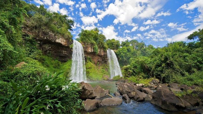 nature-desktop-backgrounds-flowers - Natura si atat