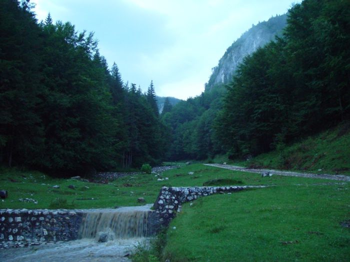 peisaje-munte-romania-muntii-carpati-27 - Natura si atat