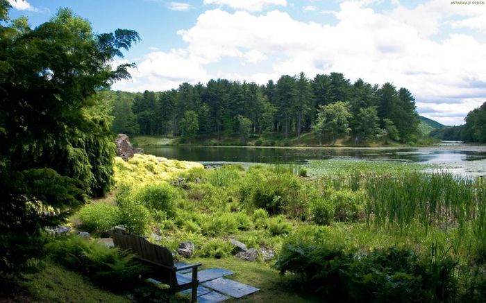 pe-marginea-lacului - Natura si atat