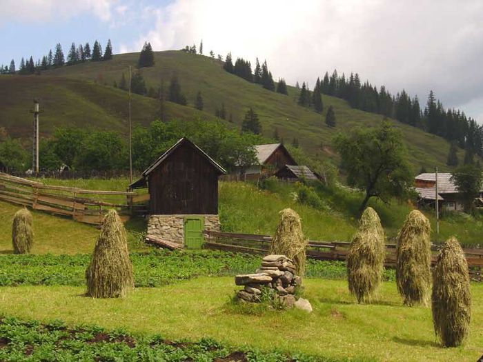 poze-bucovina-6 - Natura si atat