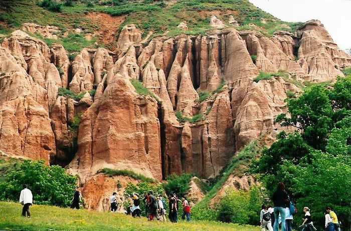 rapa-rosie - Natura si atat