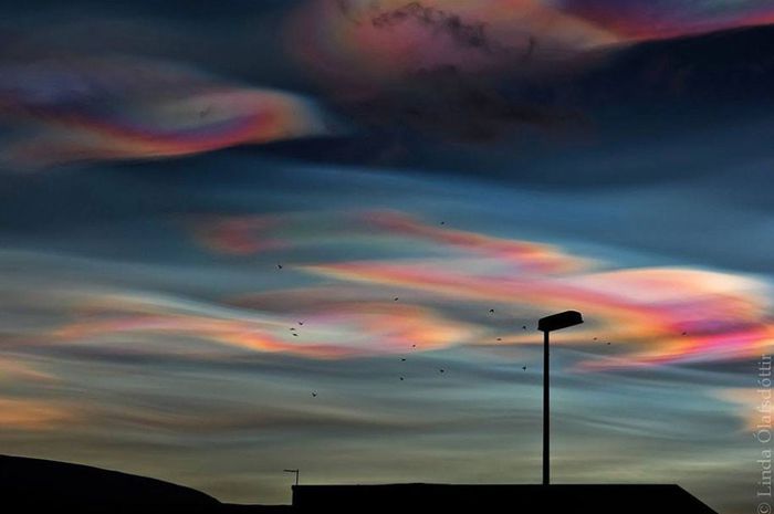 1743751_632174736817674_1089154911_n