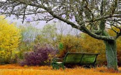 imagesCAZGFRU2 - Natura