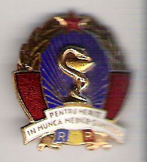 Insigna Pentru merite, 1963