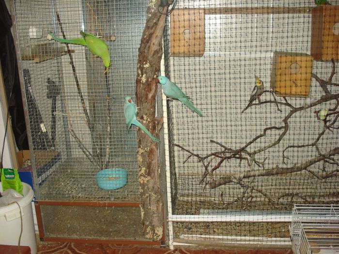 DSC06390