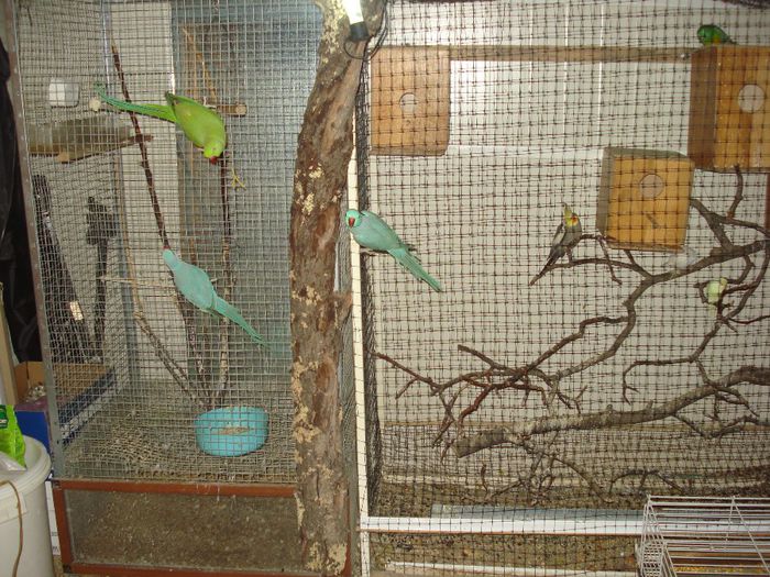 DSC06391