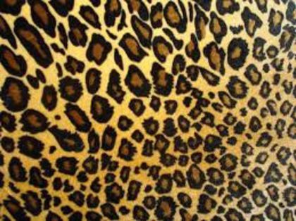 download (1) - Animal print