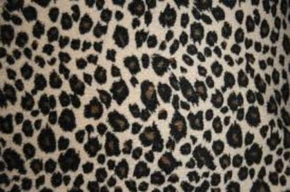 download (2) - Animal print