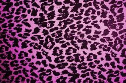 download (3) - Animal print