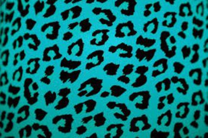 images - Animal print