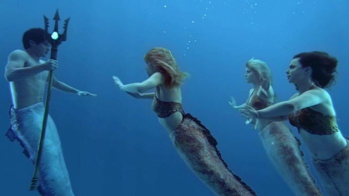 in apa - mako mermaids