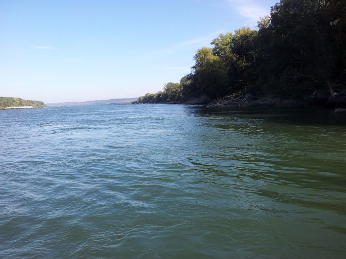 20131006_155051 - La pescuit pe Dunare