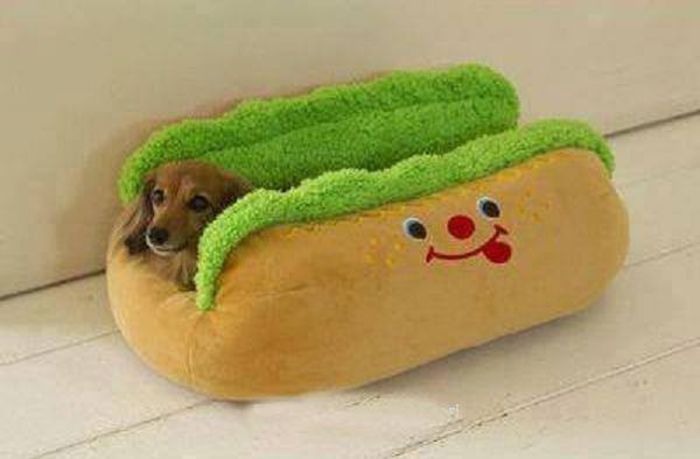 1381442_250047235147003_1567586576_n - HOT Dog