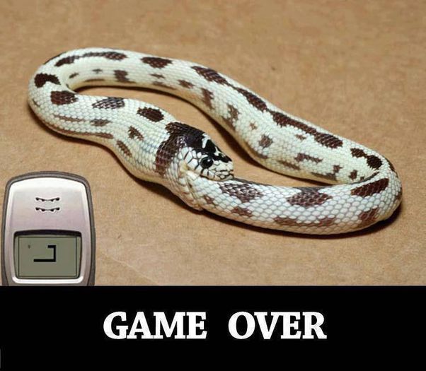 1010748_211906262294434_1563489600_n - Game Over