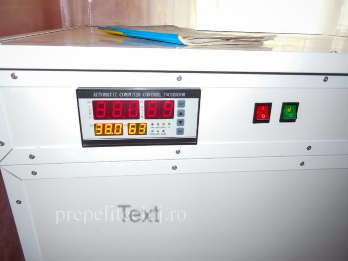 Incubator profesional oua prepelita cluj prepelite_031